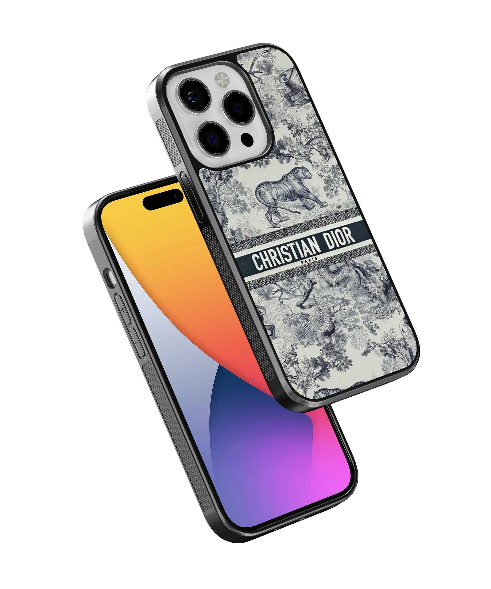 Dior Grey Case